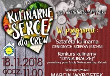 KULINARNE SERCE DLA OREW – Festyn charytatywny w Katowicach