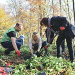 Akcja sadzenia drzew w Zabrzu | Tree planting campaign in Zabrze